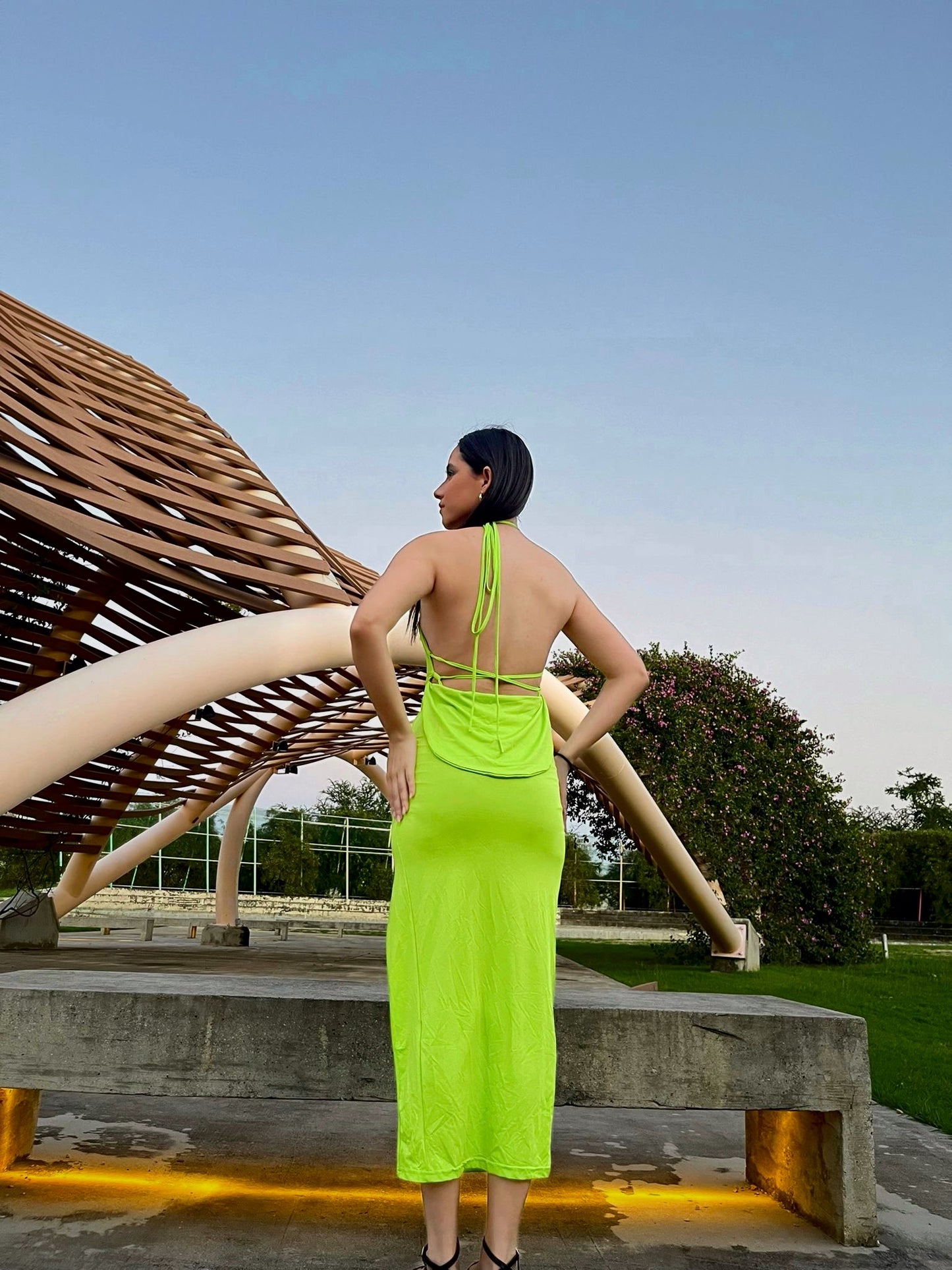 Olive Dress